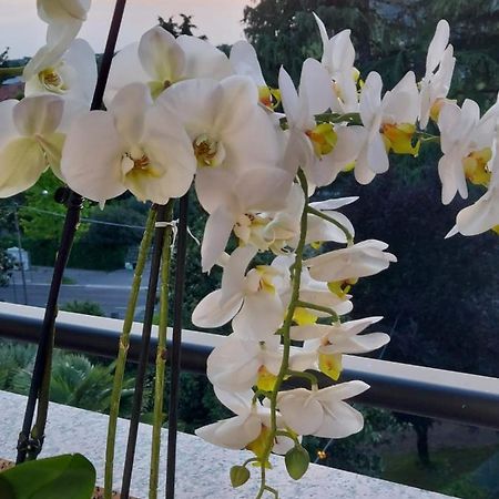 Alloggio Orchidea Monfalcone Bagian luar foto