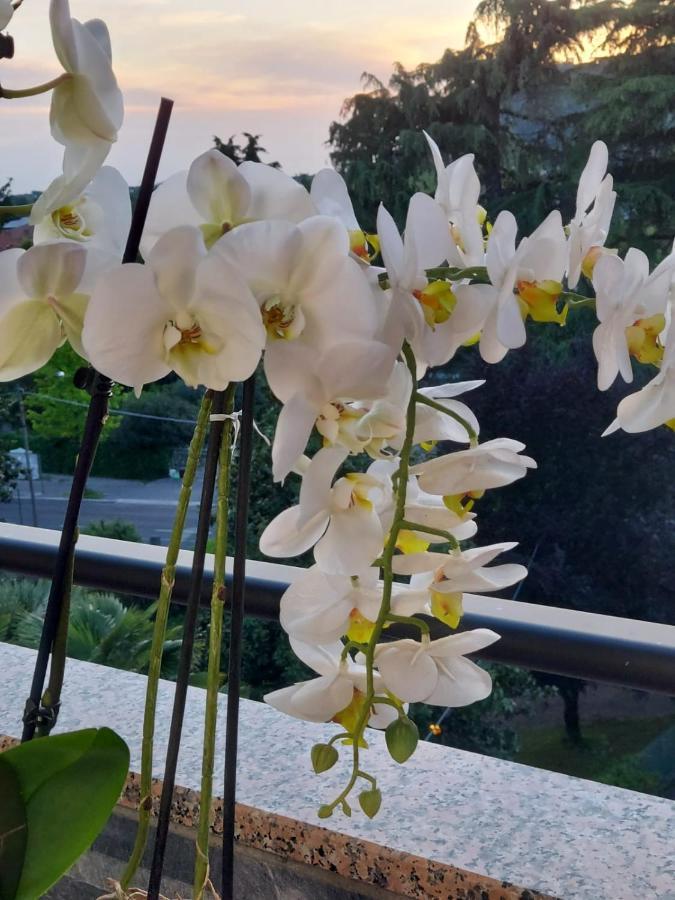 Alloggio Orchidea Monfalcone Bagian luar foto